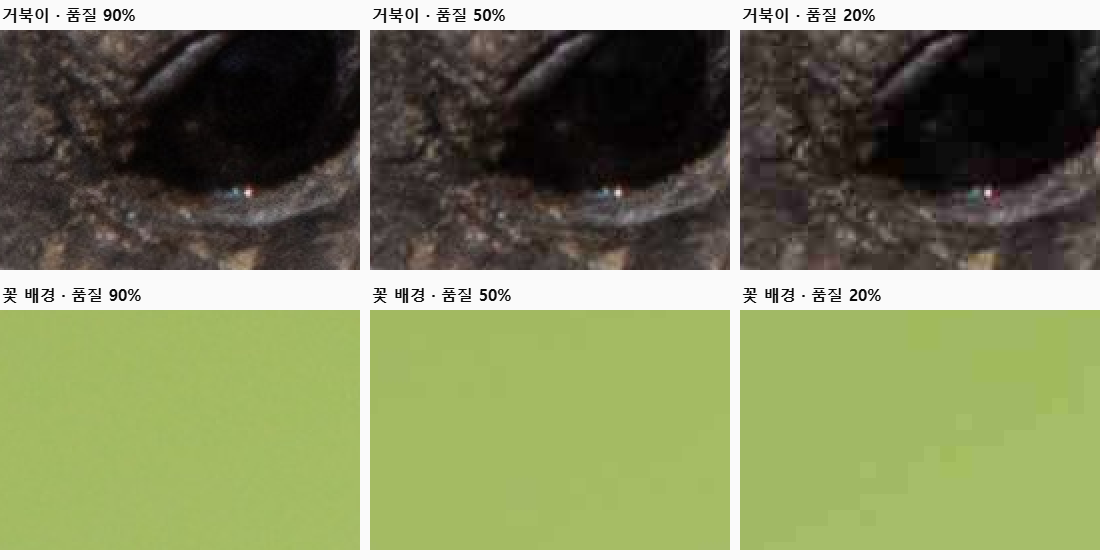 거북이 눈 주변과 꽃 사진 흐린 배경을 품질 90%, 50%, 20%로 저장해 2배 확대한 비교. 20%에서 사각형 블록이 보인다