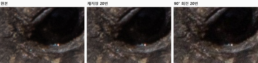 거북이 눈 주변을 원본, 재저장 20번, 90도 회전 20번으로 나란히 2배 확대한 비교. 회전 20번 쪽에 잡티와 색 번짐이 보인다